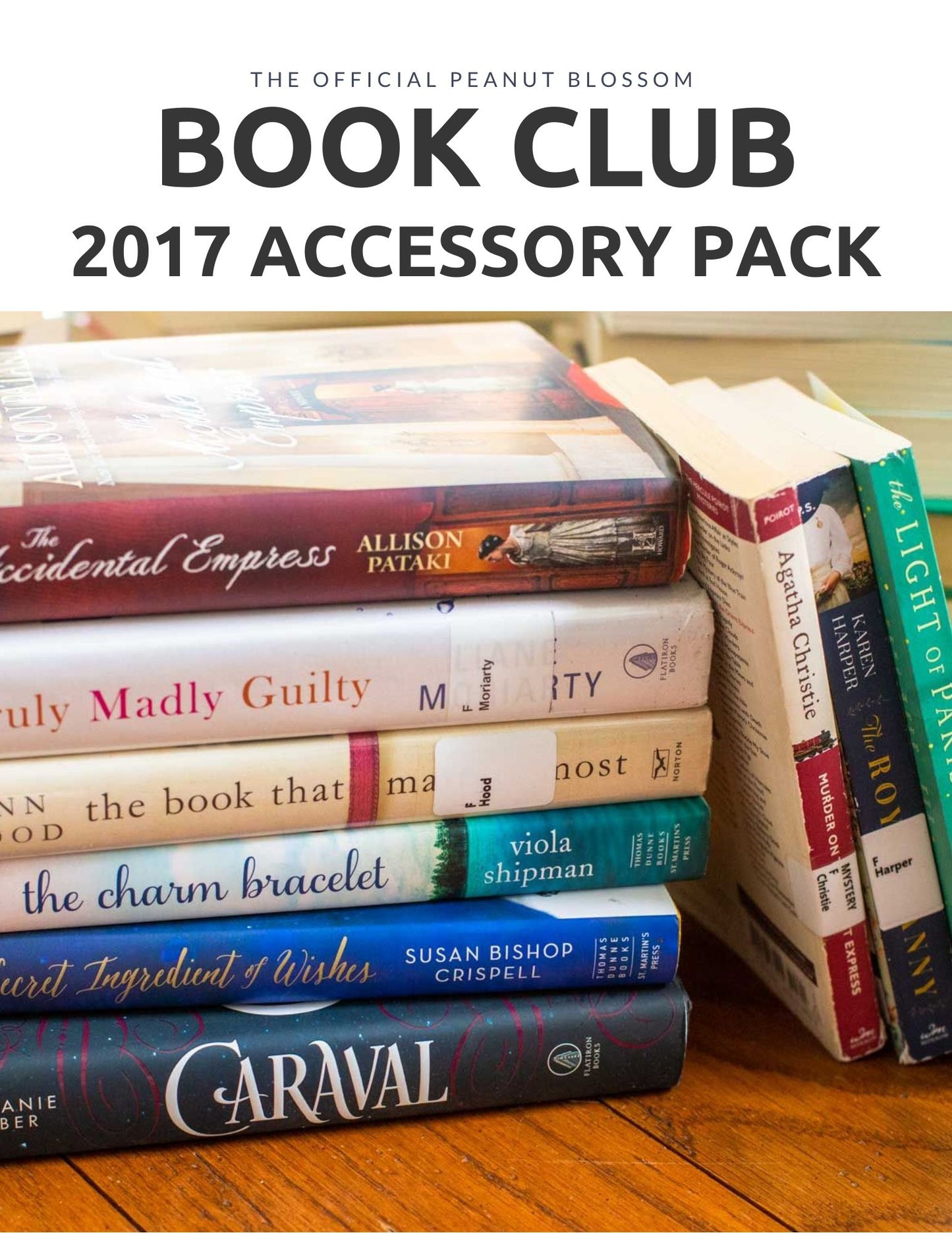 ULTIMATE BUNDLE: Peanut Blossom Book Club 2025 Journal & Accessory Pack